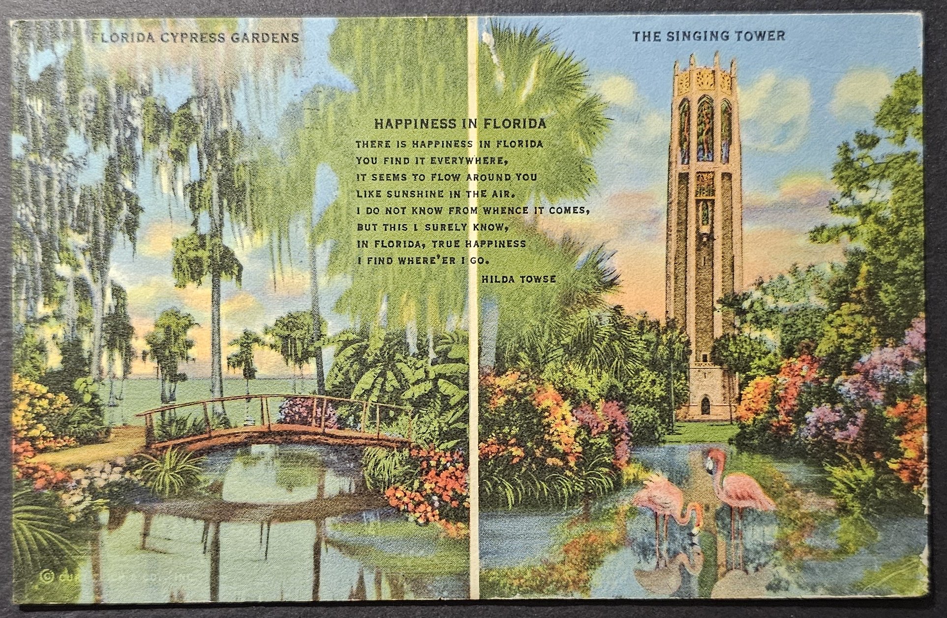 (image for) postcard USA - FL - Florida #0030